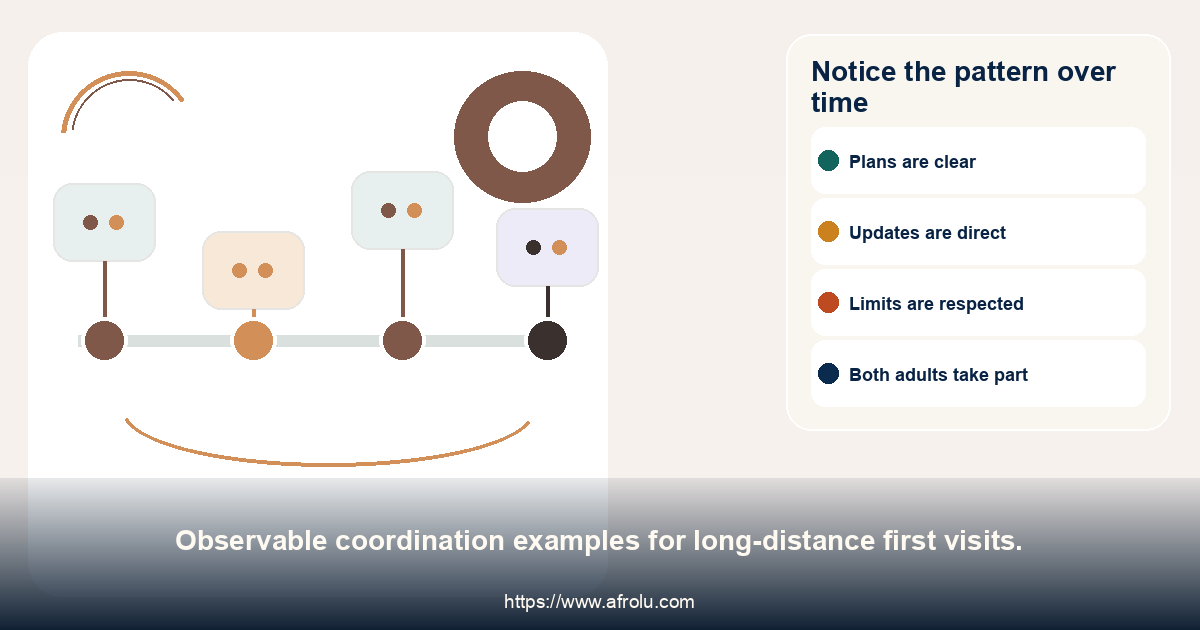 Timeline of confirmed visit plans, updates, limits and shared effort.