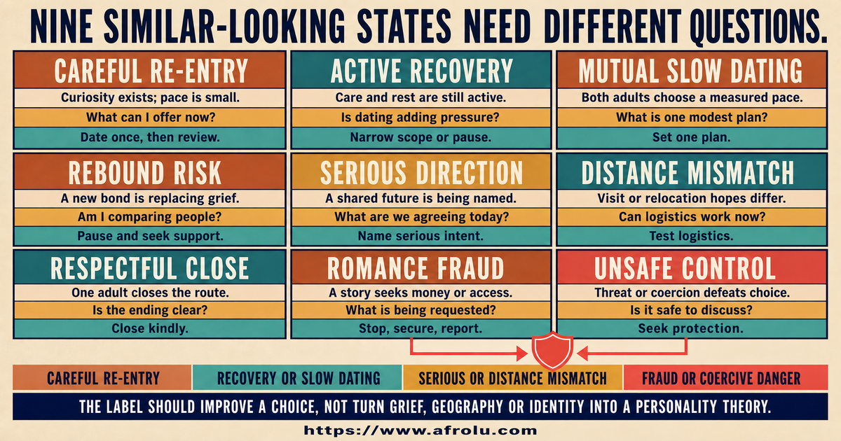 Nine-state comparison of re-entry recovery rebound serious distance mismatch fraud and unsafe control