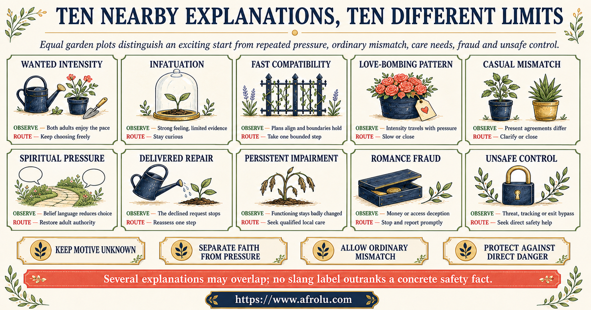 Ten-way comparison of wanted intensity infatuation fast compatibility love-bombing pressure casual mismatch spiritual pressure repair impairment fraud and unsafe control